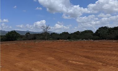 TERRENO A ORILLA DE LA PANAMERICANA - TANARA