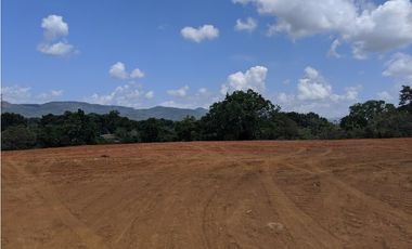 TERRENO A ORILLA DE LA PANAMERICANA - TANARA