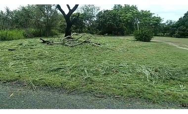 TERRENO / CHAME / GORGONA / 2000M / PLANO /JC