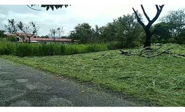 TERRENO / CHAME / GORGONA / 2000M / PLANO /JC