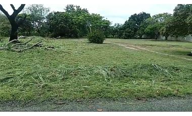 TERRENO / CHAME / GORGONA / 2000M / PLANO /JC