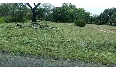 TERRENO / CHAME / GORGONA / 2000M / PLANO /JC