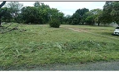 TERRENO / CHAME / GORGONA / 2000M / PLANO /JC