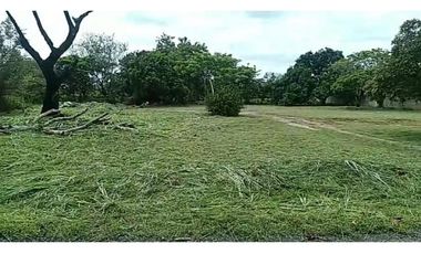 TERRENO / CHAME / GORGONA / 2000M / PLANO /JC