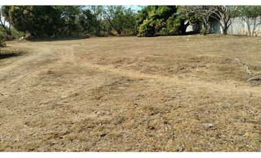 TERRENO / CHAME / GORGONA / 2000M / PLANO /JC