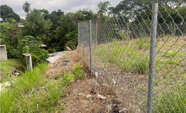 TERRENO / TOCUMEN / CABUYA / 460M / VIA PRINCIPAL / ORILLA CALLE JC