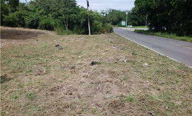 VENTA DE TERRENO EN VIA LA PINTADA PENONOME