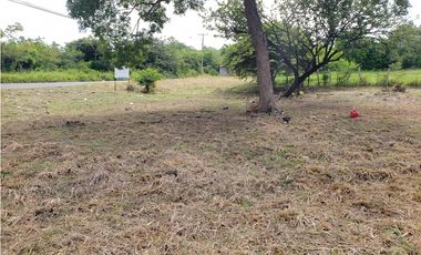 VENTA DE TERRENO EN VIA LA PINTADA PENONOME
