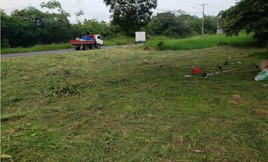 VENTA DE TERRENO EN VIA LA PINTADA PENONOME