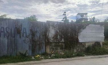 930 sqm Commercial lot for sale in babag Lapu Lapu