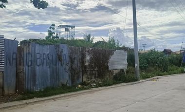 930 sqm Commercial lot for sale in babag Lapu Lapu