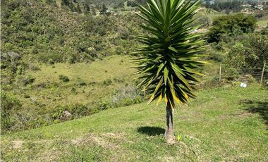 Vendo campestre en San Vicente Ferrer