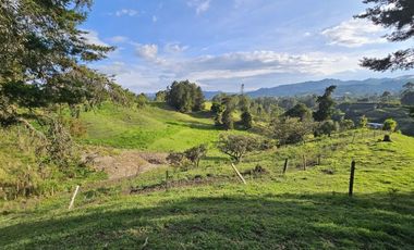 Lote para desarrollo parcelación en Llanogrande