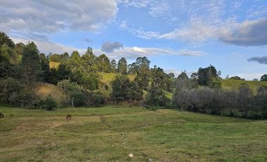 Lote para desarrollo parcelación en Llanogrande