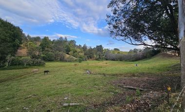 Lote para desarrollo parcelación en Llanogrande