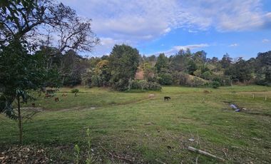 Lote para desarrollo parcelación en Llanogrande