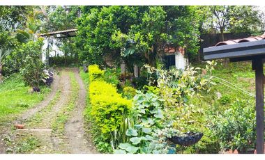 Arriendo Casa Lote Rural. Vereda Romero Bajo, Ubaque Cundinamarca