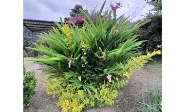Venta Predio Casa Campestre, Sector Maravillas, Choachí.