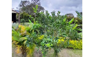 Venta Predio Casa Campestre, Sector Maravillas, Choachí.