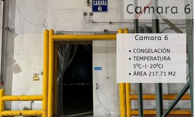 Bodega Industrial con Cámaras Frías en VENTA - Ideal para Centro de Distribución