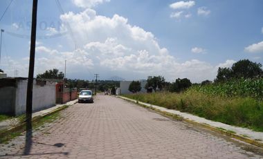 Terreno - Ejido De Apizaquito