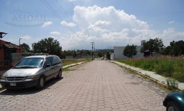 Terreno - Ejido De Apizaquito