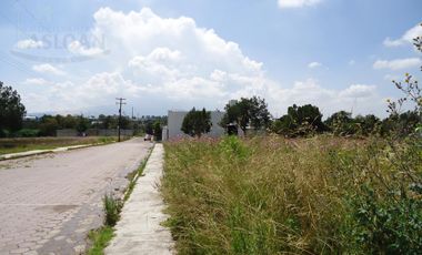 Terreno - Ejido De Apizaquito