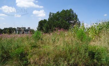 Terreno - Ejido De Apizaquito