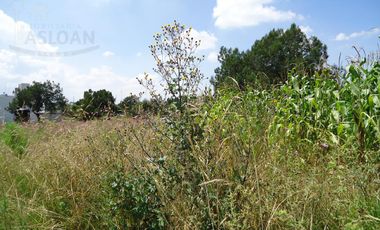 Terreno - Ejido De Apizaquito