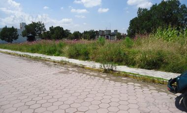 Terreno - Ejido De Apizaquito