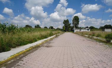 Terreno - Ejido De Apizaquito