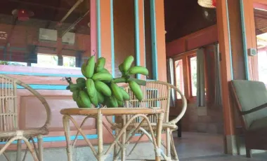 3 Bedroom Hotel for rent in Karangasem, Bali