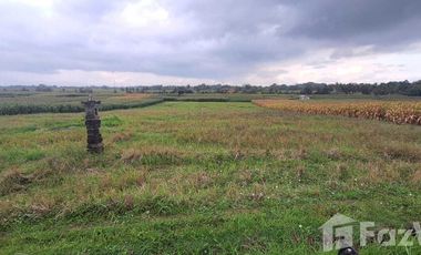 Land for sale in Kerambitan, Bali