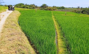 Land for sale in Kerambitan, Bali