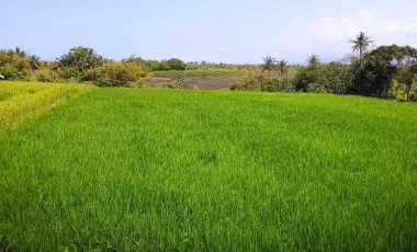 Land for sale in Kerambitan, Bali