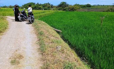 Land for sale in Kerambitan, Bali