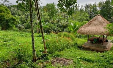 Land for sale in Tampak Siring, Bali