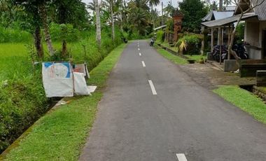 Land for sale in Tampak Siring, Bali