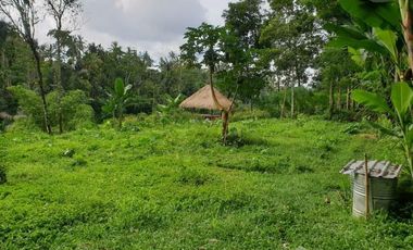 Land for sale in Tampak Siring, Bali