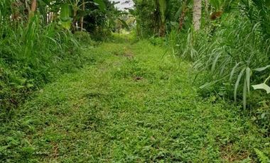 Land for sale in Tampak Siring, Bali