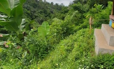Land for sale in Tampak Siring, Bali