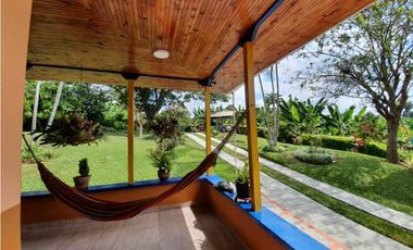 SE VENDE FINCA PRODUCTIVA VEREDA ENTRE FILANDIA - QUIMBAYA