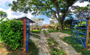 SE VENDE FINCA PRODUCTIVA VEREDA ENTRE FILANDIA - QUIMBAYA