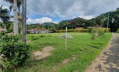 SE VENDE FINCA PRODUCTIVA VEREDA ENTRE FILANDIA - QUIMBAYA