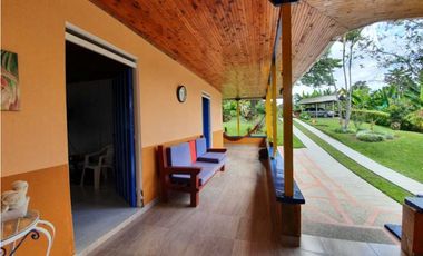 SE VENDE FINCA PRODUCTIVA VEREDA ENTRE FILANDIA - QUIMBAYA