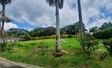 SE VENDE FINCA PRODUCTIVA VEREDA ENTRE FILANDIA - QUIMBAYA