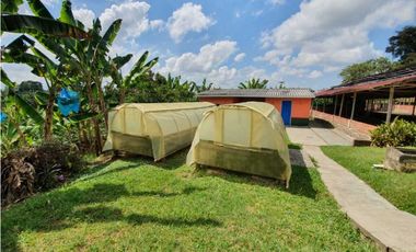 SE VENDE FINCA PRODUCTIVA VEREDA ENTRE FILANDIA - QUIMBAYA