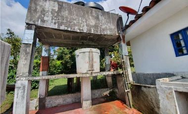 SE VENDE FINCA PRODUCTIVA VEREDA ENTRE FILANDIA - QUIMBAYA