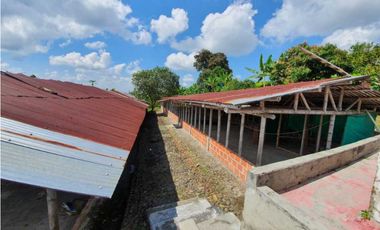 SE VENDE FINCA PRODUCTIVA VEREDA ENTRE FILANDIA - QUIMBAYA