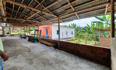 SE VENDE FINCA PRODUCTIVA VEREDA ENTRE FILANDIA - QUIMBAYA